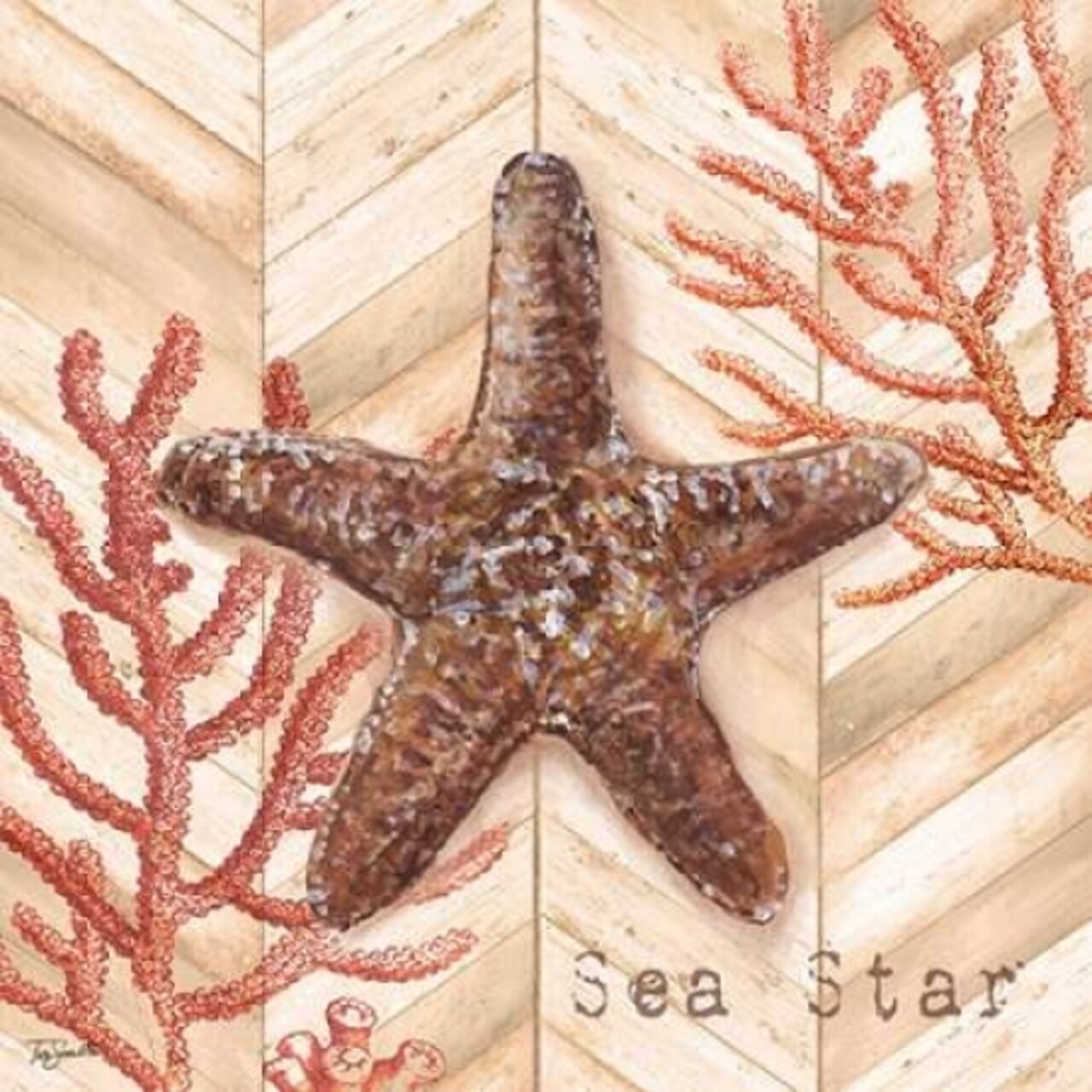 Chevron Shells Coral III Poster Print by Tre Sorelle Studios - Item # VARPDXRB9956TS